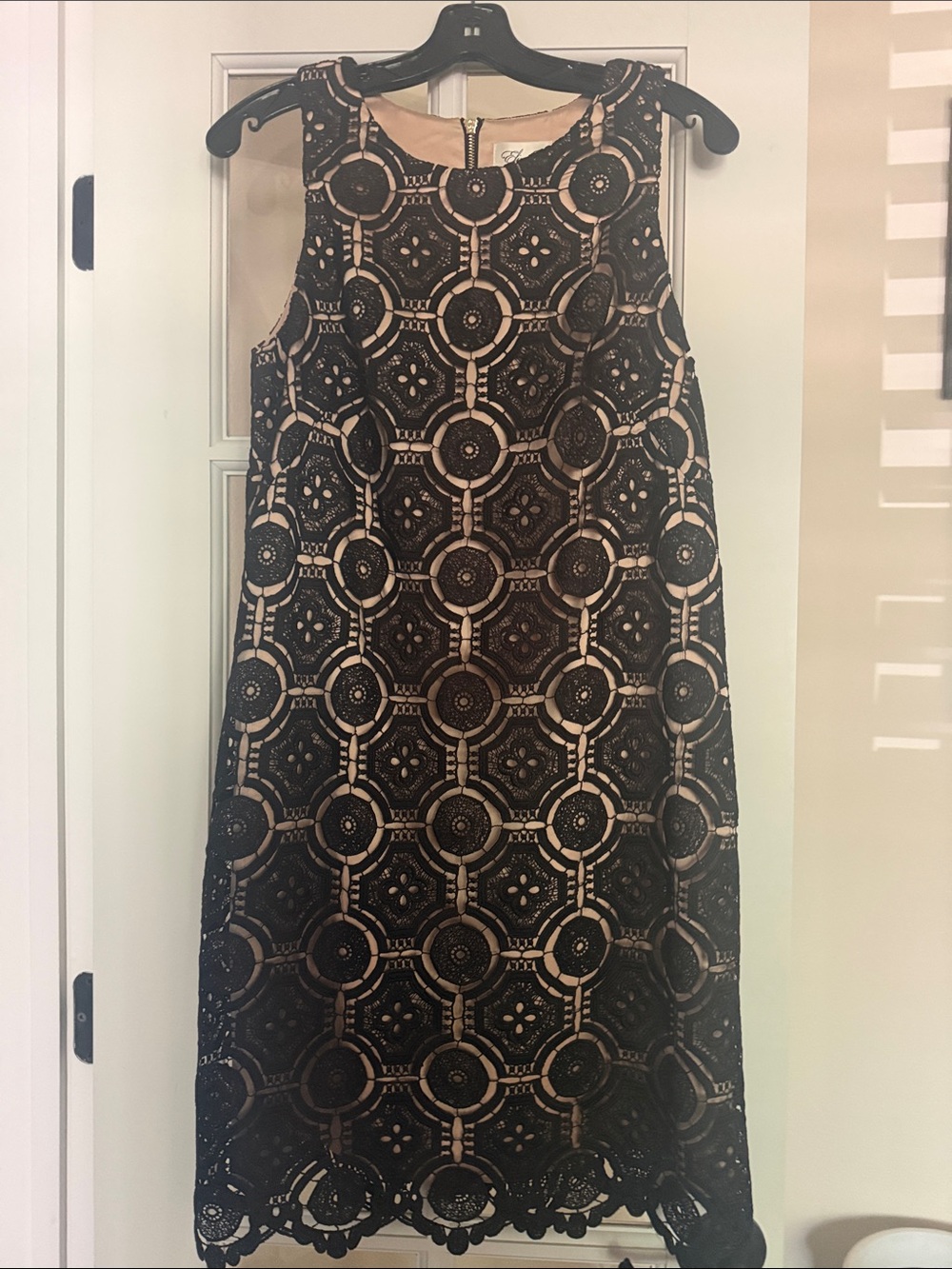 Eliza J Black Lace Overlay Dress with Nude Lining 10